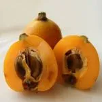 Мушмула японська